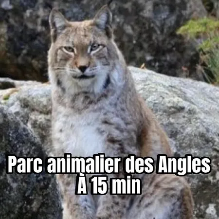 Appartement Biche